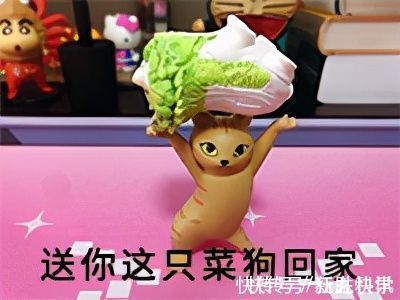 精灵|世界上最菜的狗能有多菜?这个日本人给出了意想不到的答案