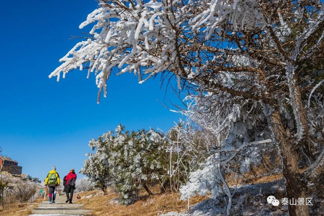  散文|跟随姚鼐的散文《登泰山记》冬览泰山