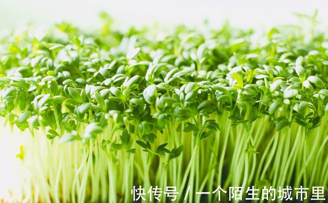 卵巢癌|女性不想得卵巢癌,每天食此菜,防乳腺癌,让女性身体越来越健康