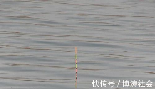 钓鱼调漂技巧：硬尾浮漂和软尾浮漂，在调漂体验上有哪些不同？