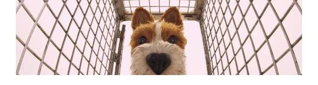 幽游白书|幽游白书、猎人、新世纪福音战士：9部绝对要再看一次的经典动画