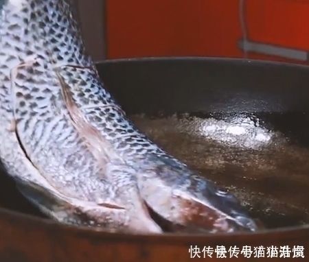 吃货|唯一让中国吃货退却的鱼!营养比甲鱼高,全身是宝,只要4元一斤