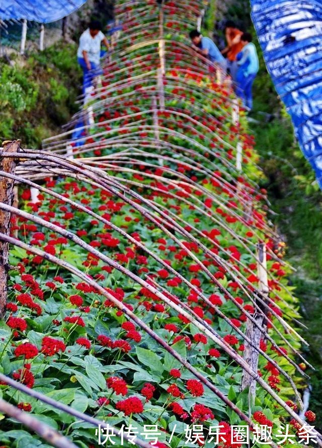 冰雪丝路|长白山的文化与精神是怎样炼成的!