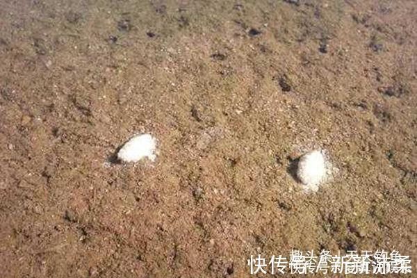 铅坠|手竿钓鲤鱼的调漂要点,“空枪”太多,一定要试试这些调漂方法