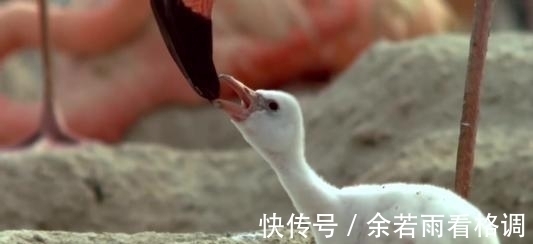 15个令人惊奇的冷知识，“纸上谈兵”的赵括一辈子没见过纸