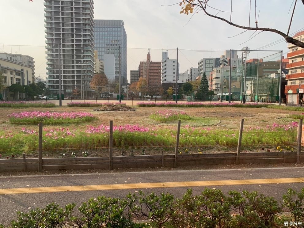 沃尔沃S90自驾青岛港转邮轮旅行六（福冈篇上）