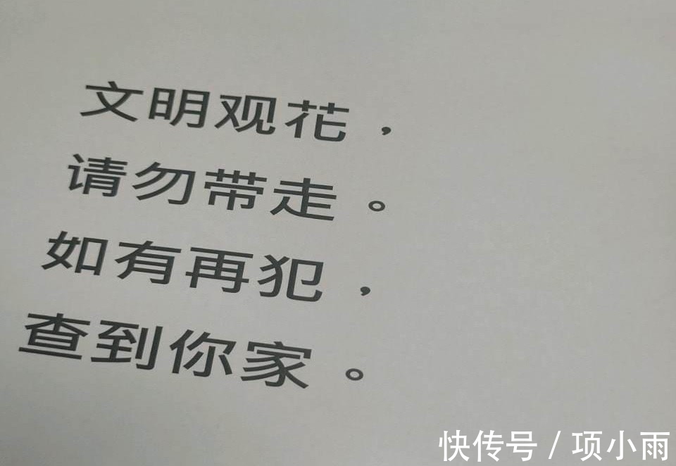 多肉|阳台上养的多肉都有这5个特点,最后3个连露养大神都羡慕