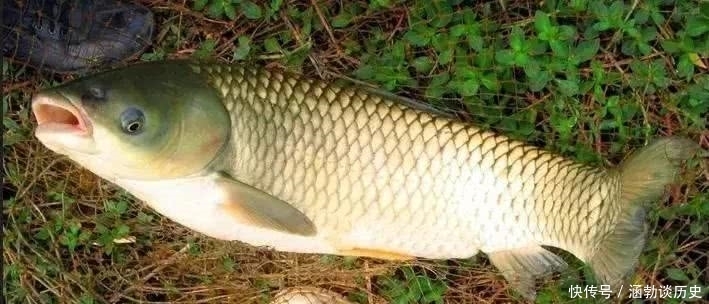 梅雨天如何作钓?了解这3点细节过后,你还会担心“空军”吗?