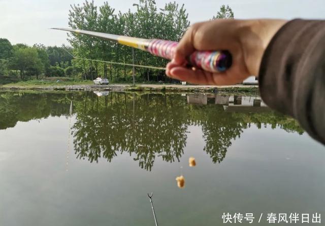 一钩触底一钩悬真的好吗?很多人弄错了,野钓这样调漂才高效
