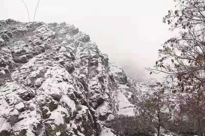 冬雪|一场冬雪，飞白作画，染了山水，美了岩画