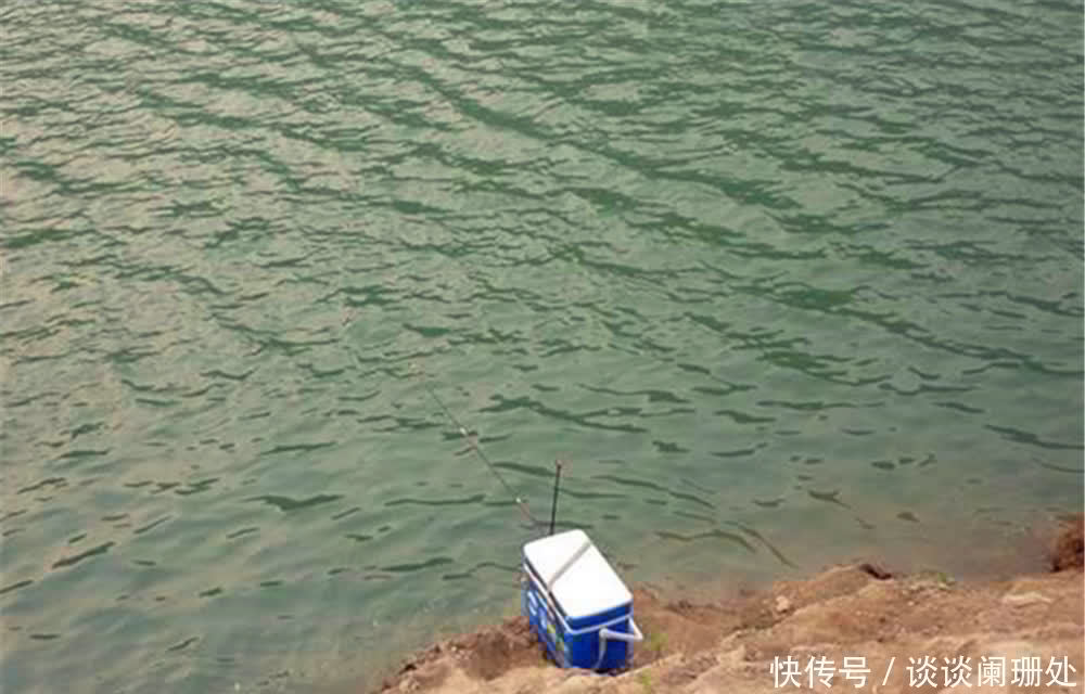 鲫鱼|初夏钓鲤鱼,这四种钓位容易出大鲤鱼,选对位置“爆护”是必然!