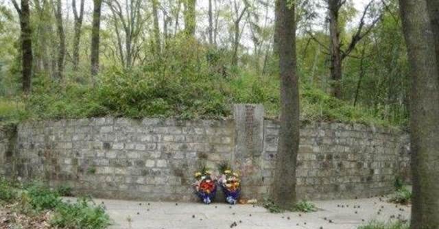 后代|常遇春死后,后代都没好下场,小儿子趁乱逃到了小山村成唯一香火