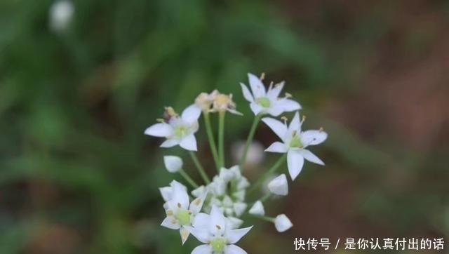 |冬至了,一切安好