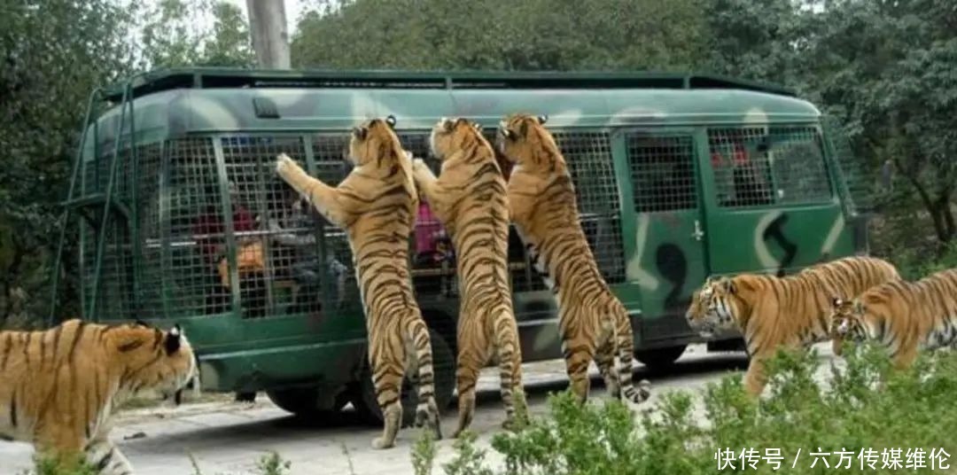 中年|精品自驾路书|访太极故乡 进传统村落 感受非遗魅力