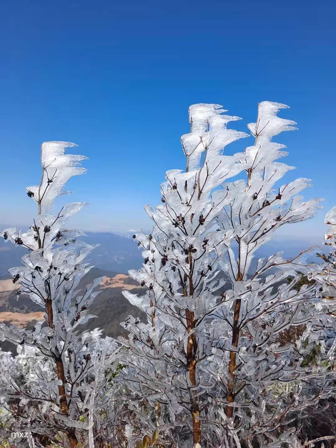 冰雪世界太美了明晚永嘉山區有雨夾雪或雪接下來的天氣