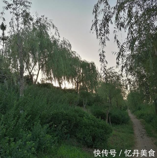 大鱼|高温天,钓大鱼先克服这些“难题”,不是我吹,渔获瞬间猛增几倍