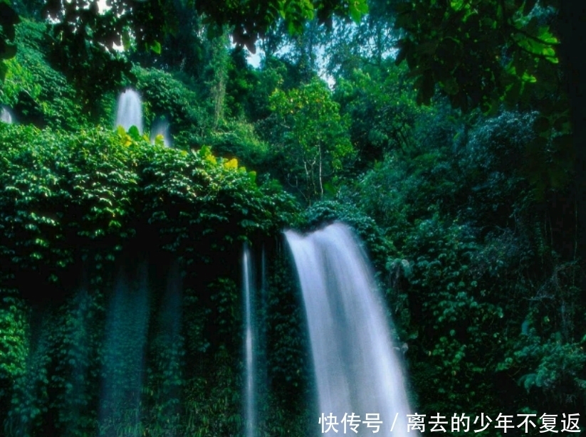 作者|“但见新人笑,那闻旧人哭”的作者是谁?为什么这句诗流传广泛?