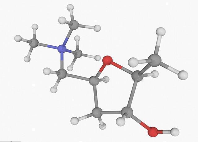 存活率|发现癌症不去管它，会活的更久做到2点，不再是死亡判决书