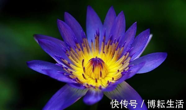 征兆|“人不成器，必有征兆”，人到40岁还喜欢做4件事，难有大出息