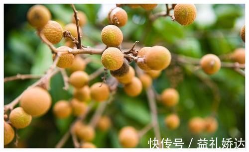 长期失眠|如何调理失眠？谨记“3吃、2不吃”，静心安神，好梦也许自然来