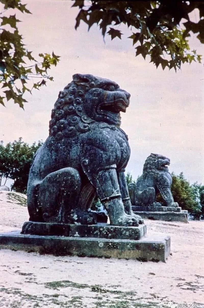 举世闻名|举世闻名的乾陵