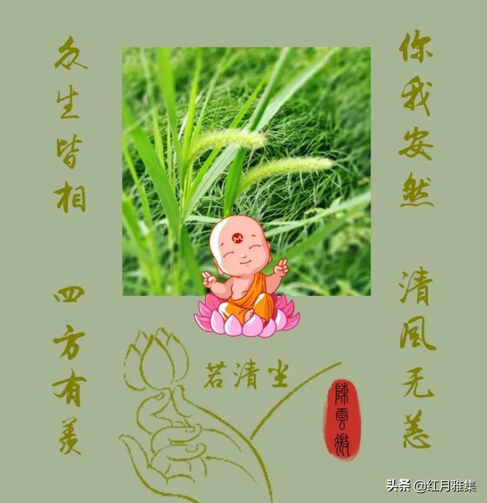 良药！愿有良药解久症，愿有良人渡偏舟（文/若清尘）