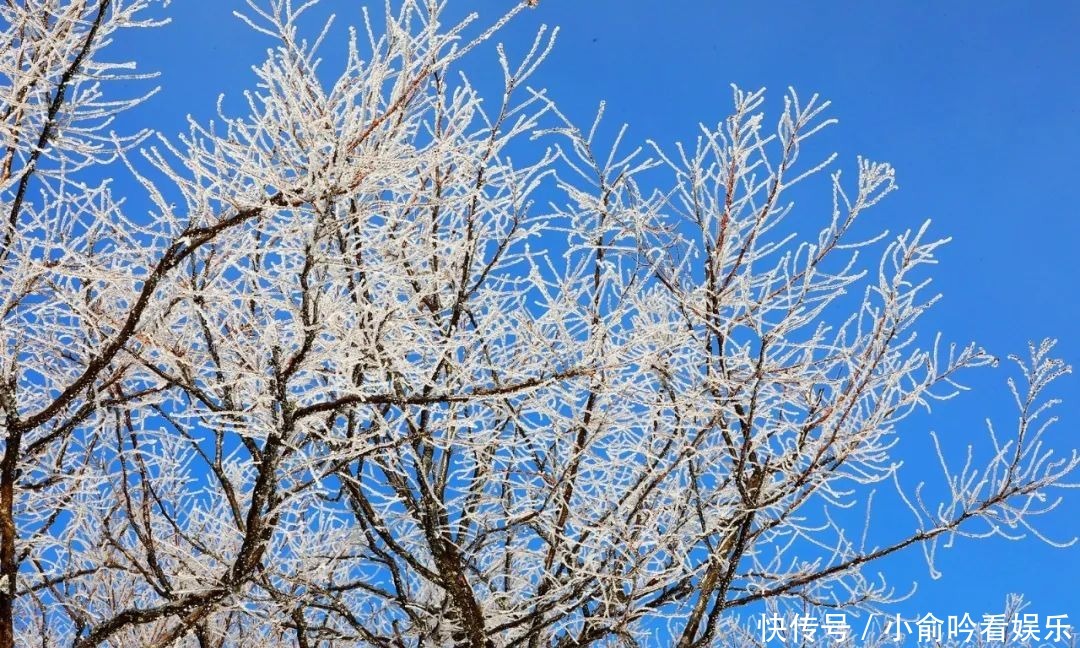 雪景|遂昌大美雪景图！让你一次看个够