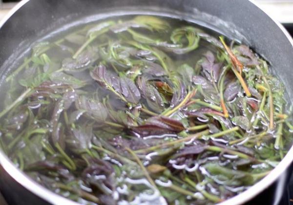 必须要焯水的5种蔬菜,很多人都省略了这步,难怪吃了会肚子疼