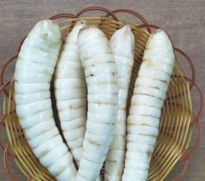 七旬老奶奶摆摊卖“大虫子”，大家都抢着买，识货大叔不多见了