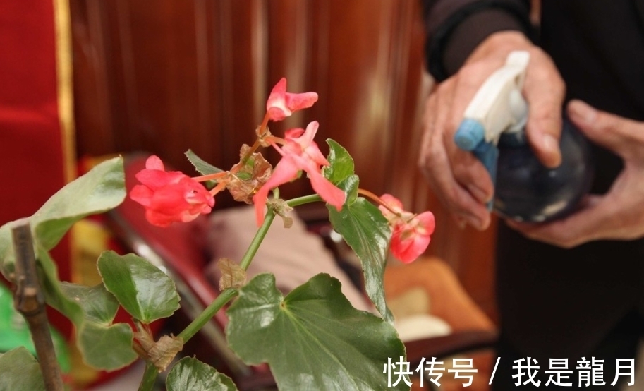 养花别这样浇水,很多人常犯这错,别不当回事