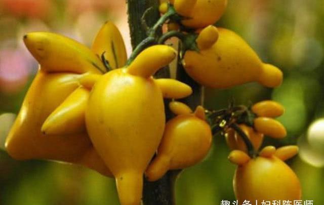 青枣|女性想要皮肤好,常吃三种食物,祛皱润肤,排毒清肠