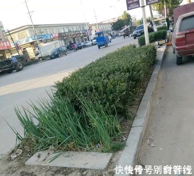 |搞笑图片幽默段子笑话：这狗狗还真乖，家务活都包了，我也想养