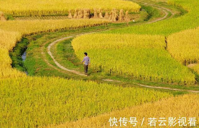 两头|俗语：六月立秋两头不收，七月立秋早晚都收，2021年啥时候立秋？