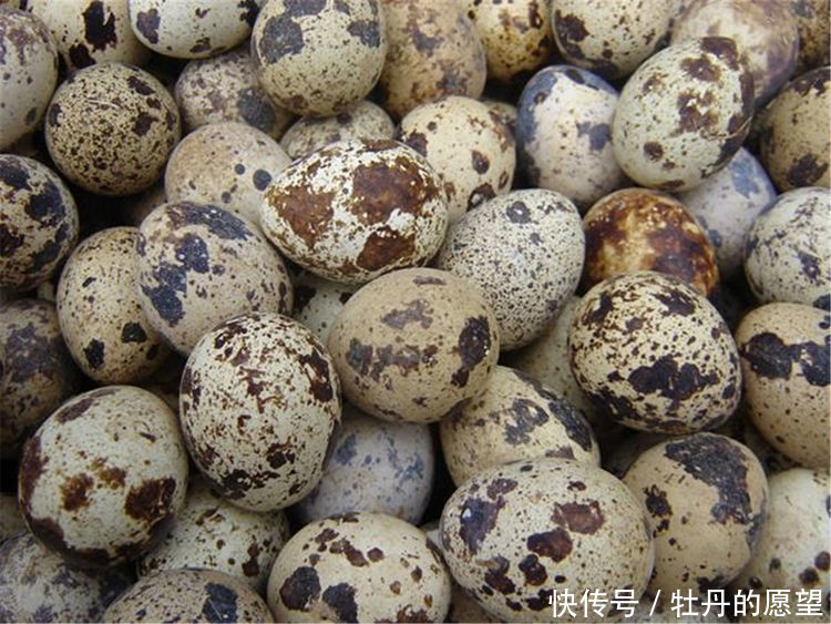 女性想要皮肤好常吃三种食物,排毒养颜,补血益气,延缓肌肤衰老