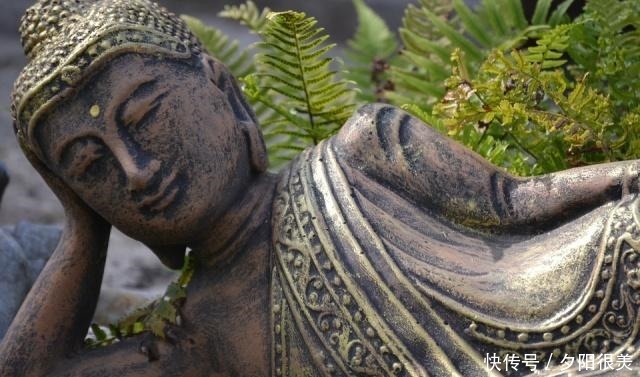 可惜|这四个字,字字值千金,不读可惜了