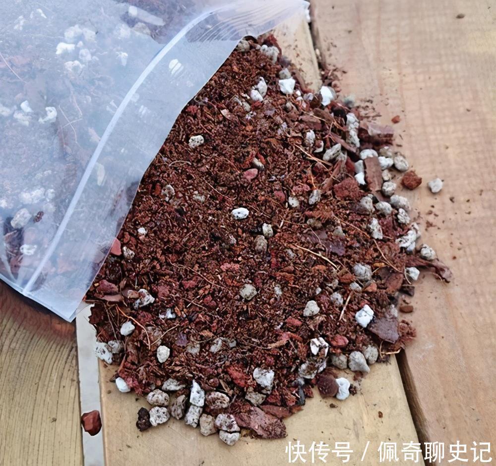 多肉喜“酸”还是喜“碱”?一个配土“小原则”,多肉个个养的棒