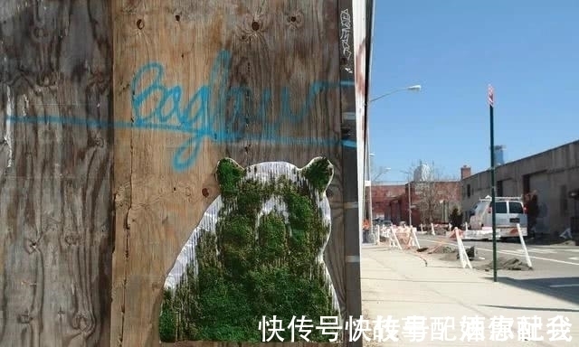 啤酒!他用酸奶、啤酒、苔藓把动物养在墙上,14天后的画面让人惊讶