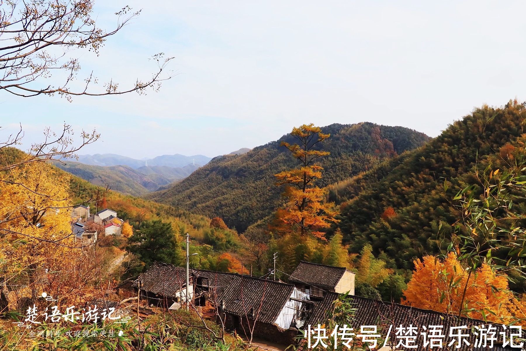 千年古村落|太震撼！四明山深处被人遗忘的千年古村落，满村银杏金黄美如童话