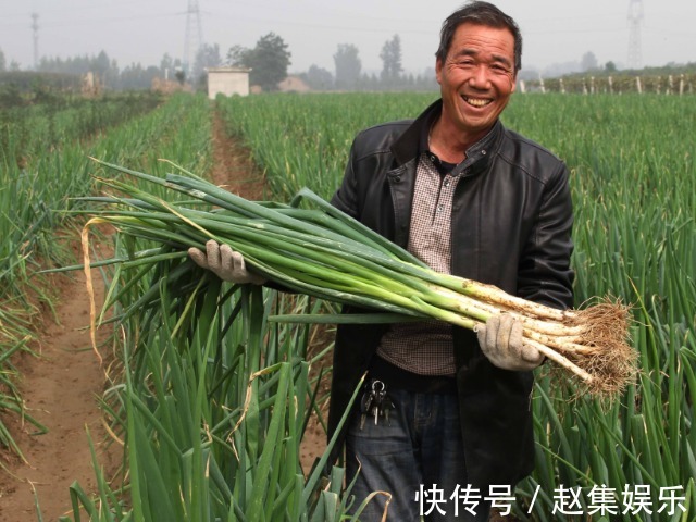 葱白粥|中医上“吃葱一根,顶药十副”,专治常见病,还是很多人不了解