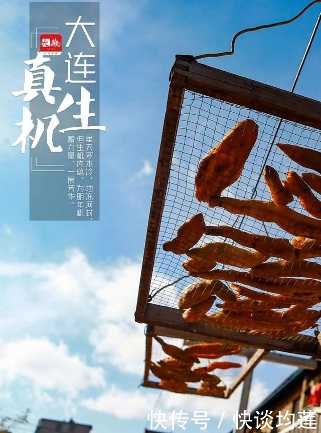 大连|大雪,大连,大生机