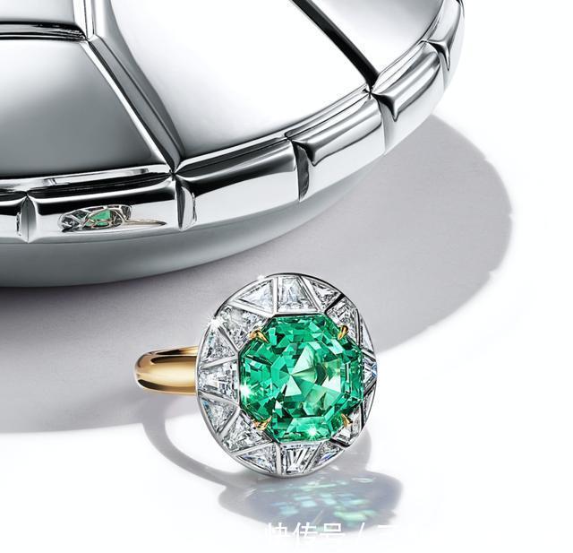 总听到“高珠”这个词!真正的高珠,到底长什么样子?!