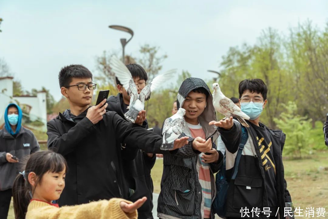 清明假期第二天，郑州园博园景区春和景明，游人如织