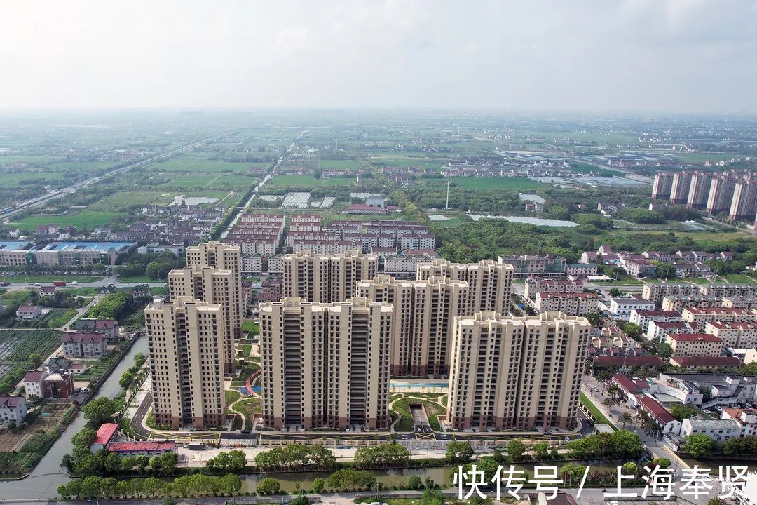 地区|预计年内交房!金汇镇泰日地区这个动迁安置项目先睹为快!
