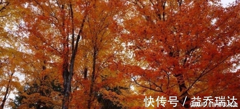 秋月&朱熹这首诗被严重低估了,第一句就令人惊艳,最后两句更是经典