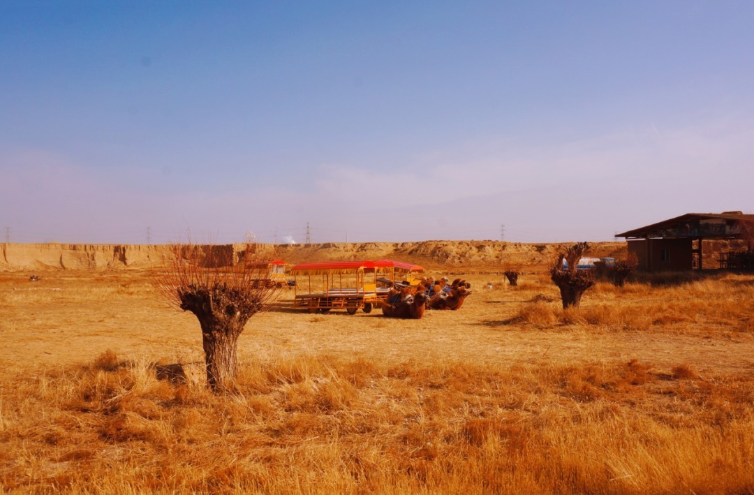 脚踏|一路银川,水洞沟遗址脚踏黄土来,机关四起藏兵洞