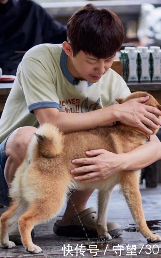 张学友|爆笑错位图合集,王肖好磕,李易峰穿高跟鞋,何炅堪称错位之王