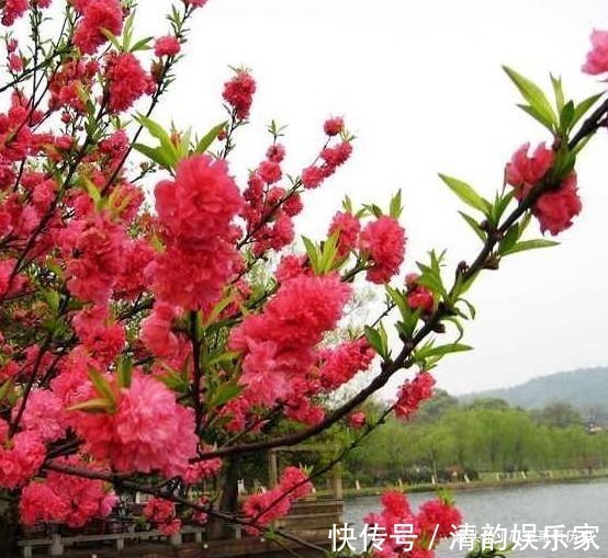 马生|越老越值钱的四生肖，晚年能够坐享财富，子女后代非常孝顺！