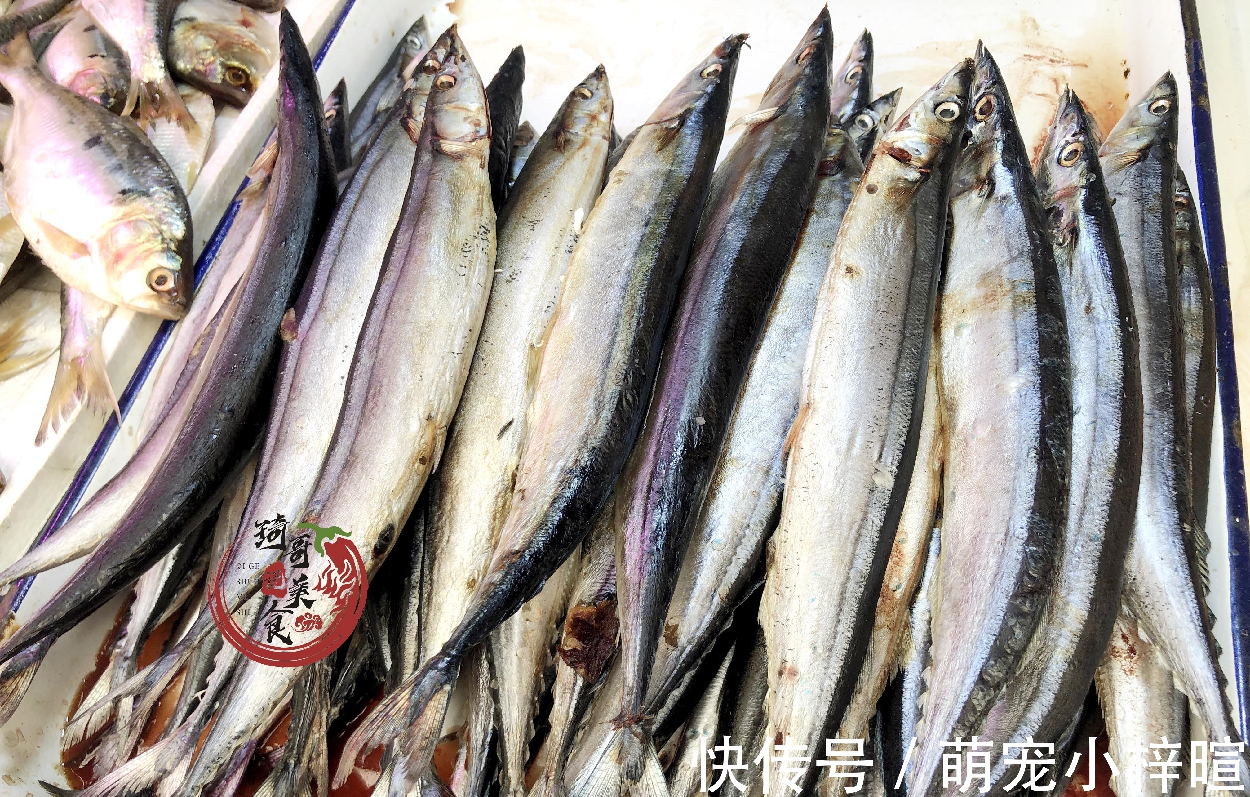 去市场买鱼，这5种鱼放心买，纯野生的，人工没法养，便宜还美味