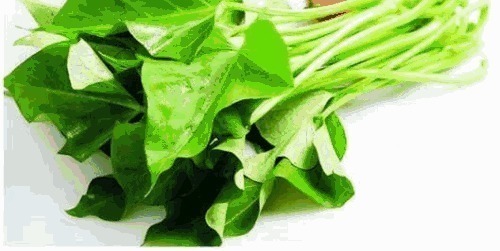 暖暖|3种“宝贝”菜,经常被你当垃圾别再扔掉,最后一种补钙效果好