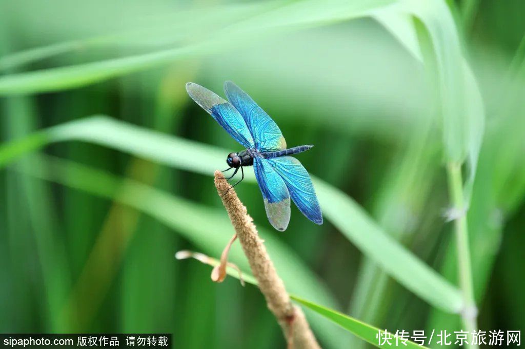 萧太后|一秒入画！这些原生态山水风景太美了，有的还是季节限定……